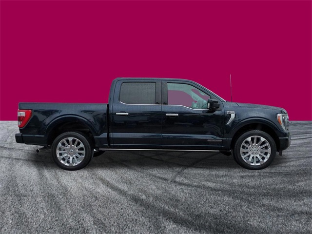 2023 Ford F-150 Limited photo 3