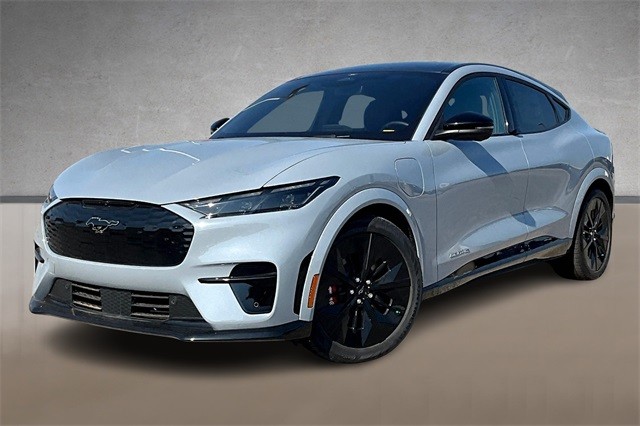 【COLOR iN ID】bizo eco fur mustang New Ford Mustang Mach-E for Sale in Oklahoma City, OK