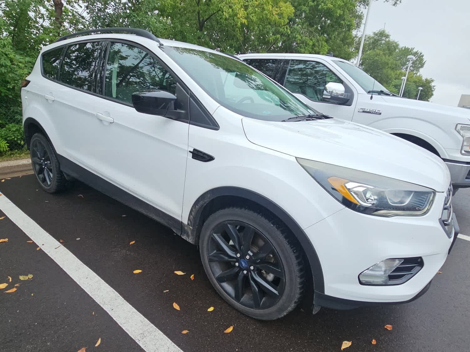 Used 2017 Ford Escape SE with VIN 1FMCU9G98HUC50550 for sale in Hopkins, Minnesota