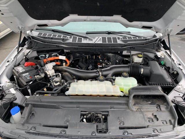 2024 Ford F-150 XLT photo 10