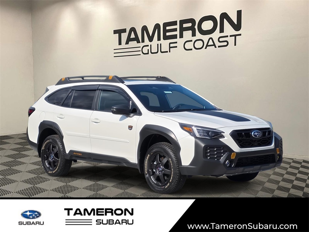 2025 Subaru Outback Wilderness's photo