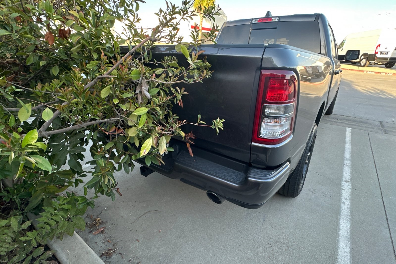 2022 Ram 1500 Big Horn Lone Star photo 2