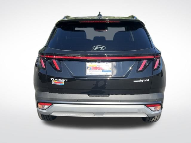2025 Hyundai Tucson Hybrid Limited photo 4