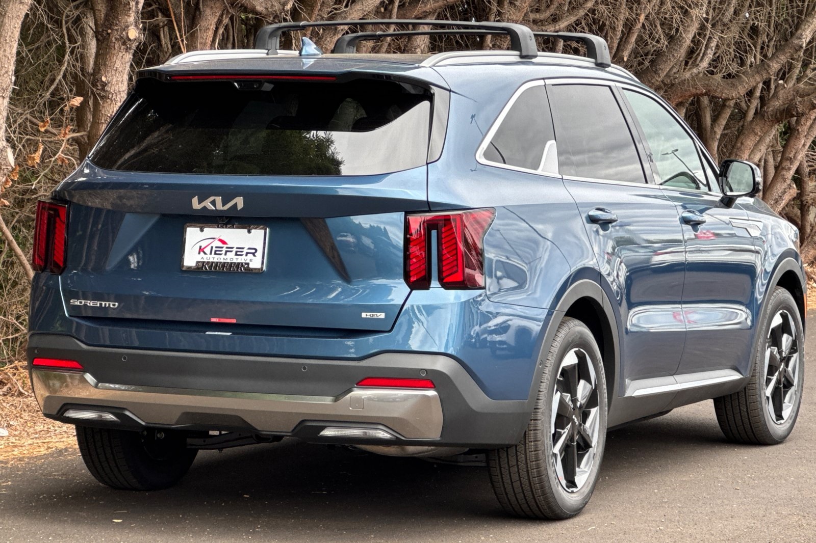 2025 Kia Sorento Hybrid SX Prestige photo 3