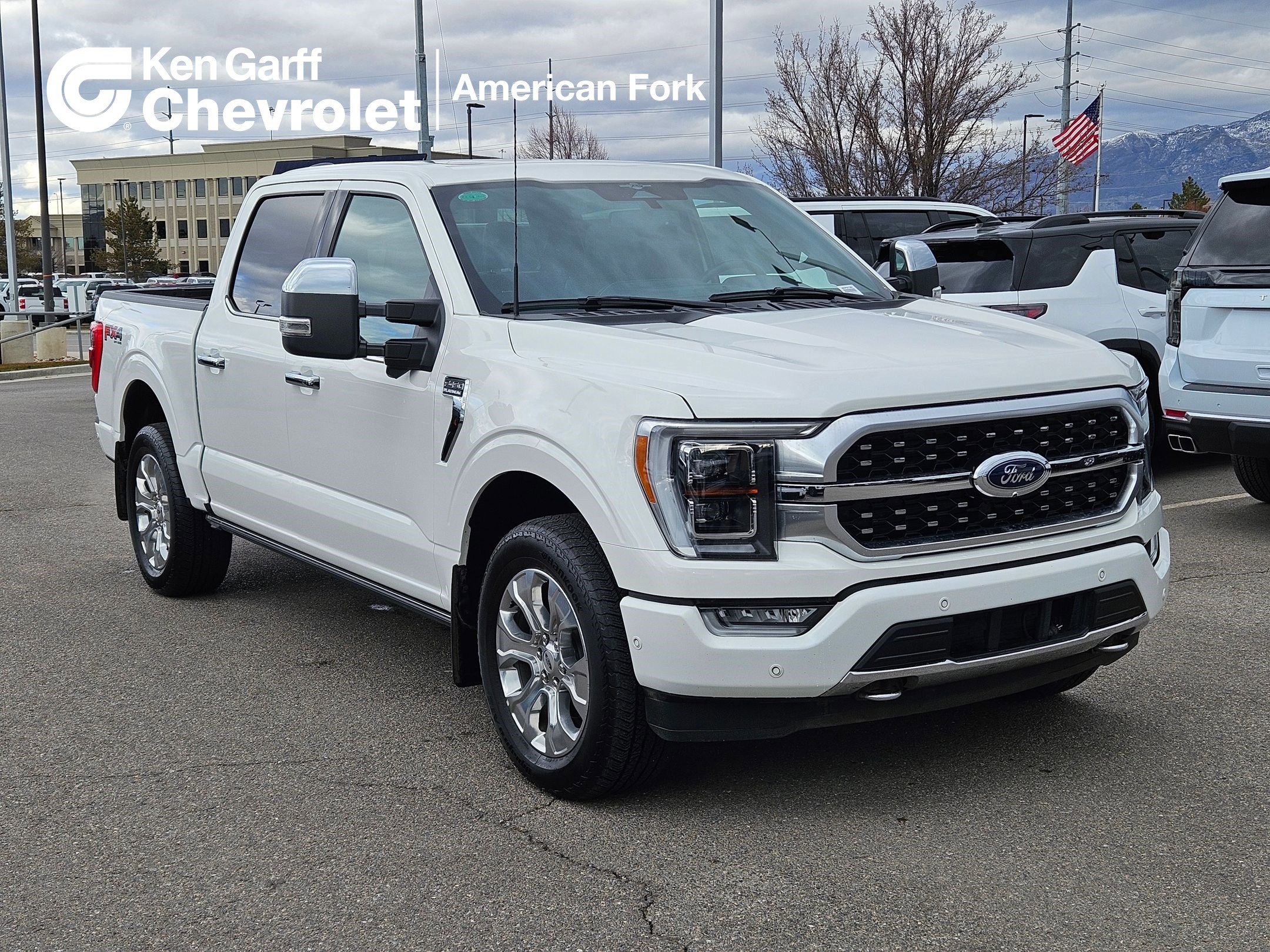 2023 Ford F-150 Platinum's photo