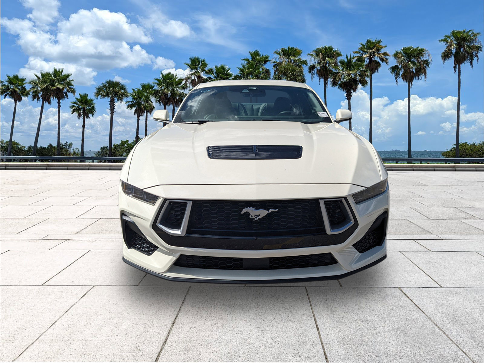 2025 Ford Mustang GT Premium photo 3