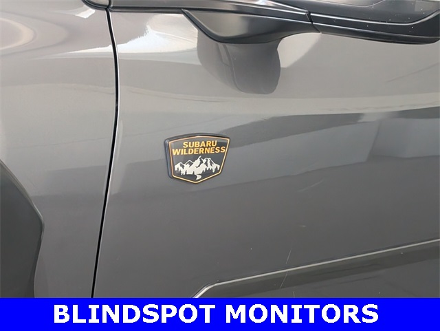 2022 Subaru Outback Wilderness photo 4