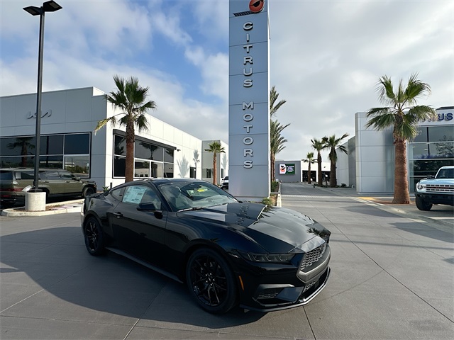 2026 Ford Mustang EcoBoost's photo