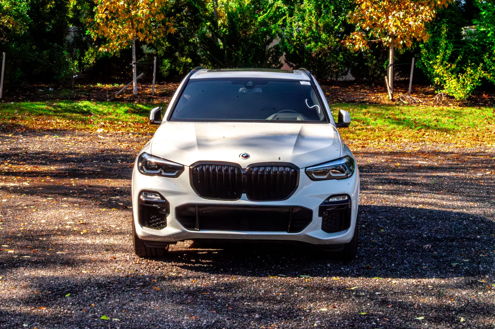 2021 Bmw X5 sDrive40i photo 2