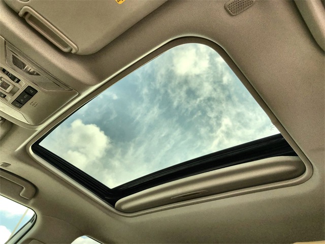 2025 Toyota RAV4 XLE Premium photo 10