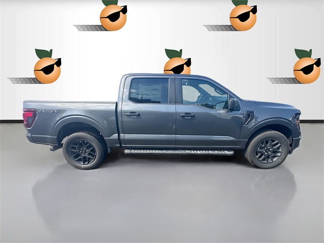 2025 Ford F-150 STX photo 3