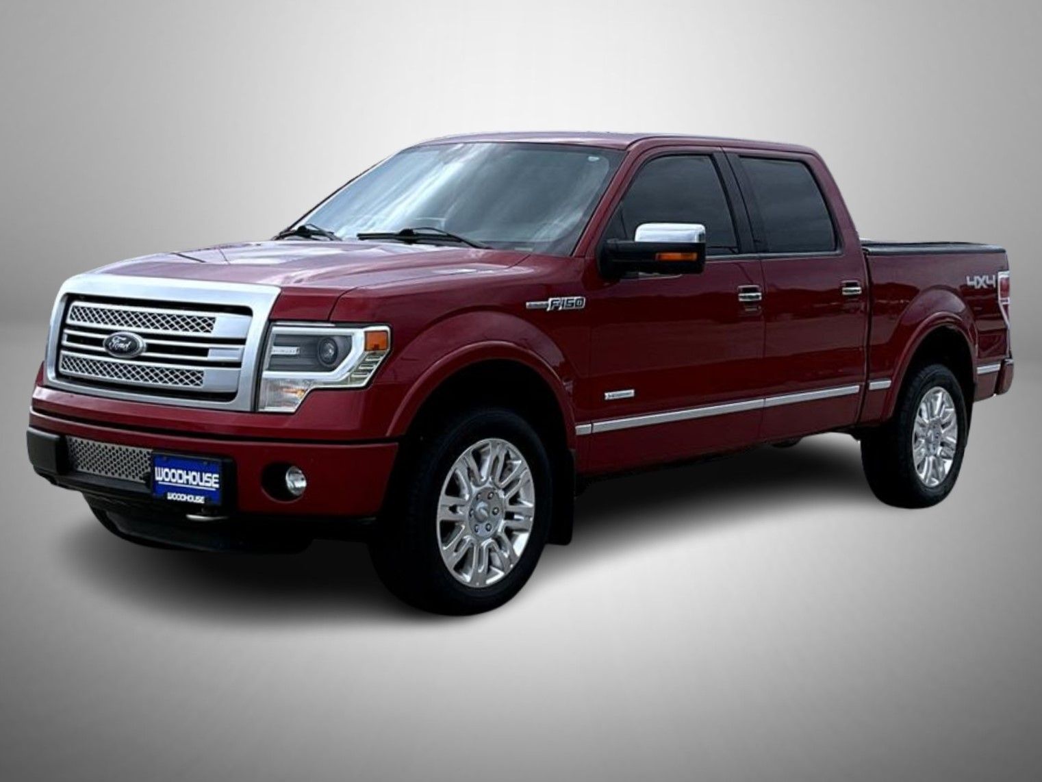 2013 Ford F-150 Platinum's photo