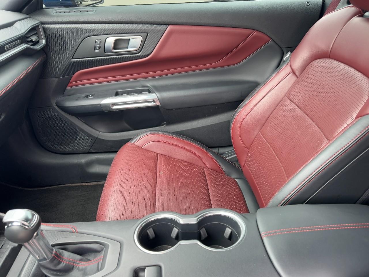 2024 Ford Mustang GT Premium Convertible photo 10