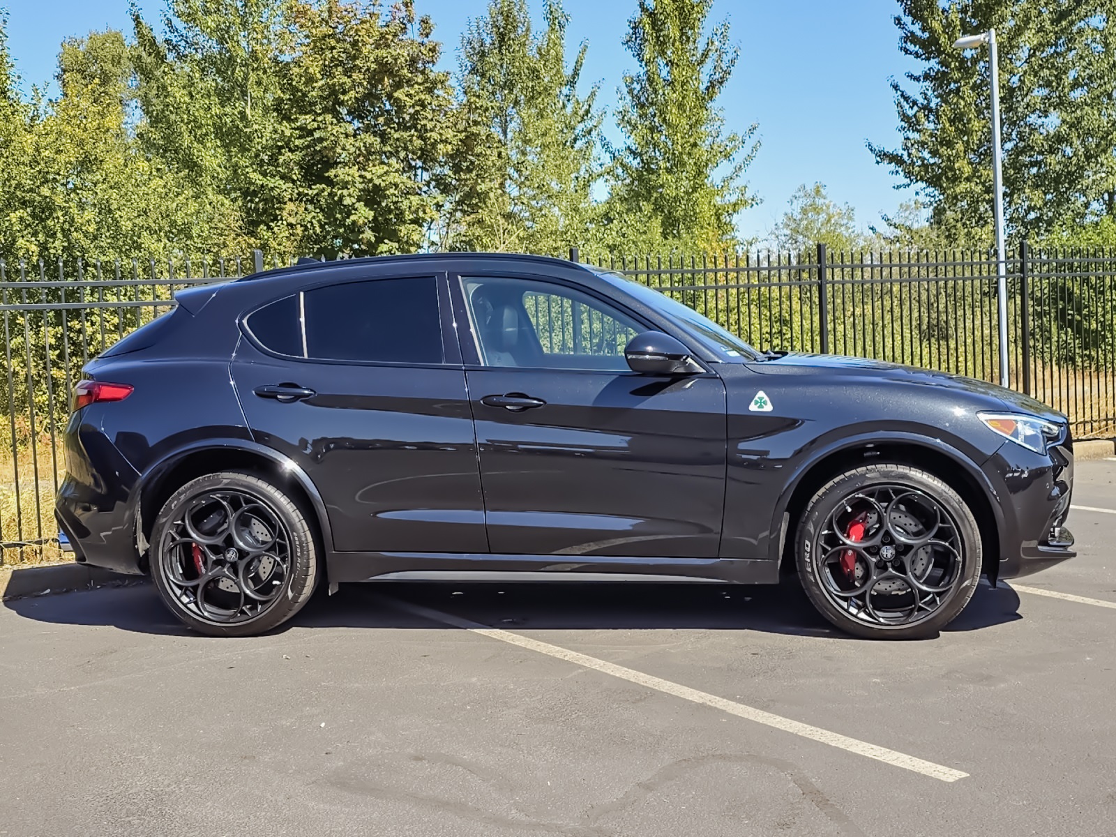 2023 Alfa Romeo Stelvio Quadrifoglio photo 2