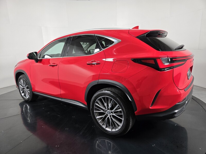 2023 Lexus NX 350 Luxury AWD photo 3