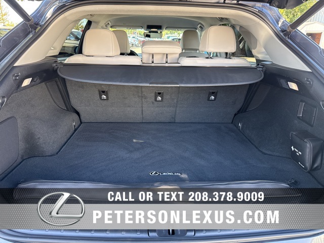 2020 Lexus RX 450h photo 11