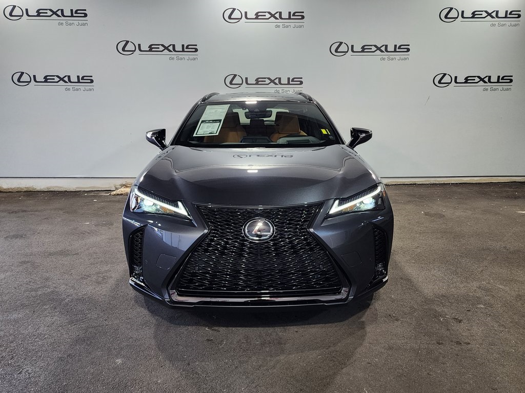 2025 Lexus UX photo 2