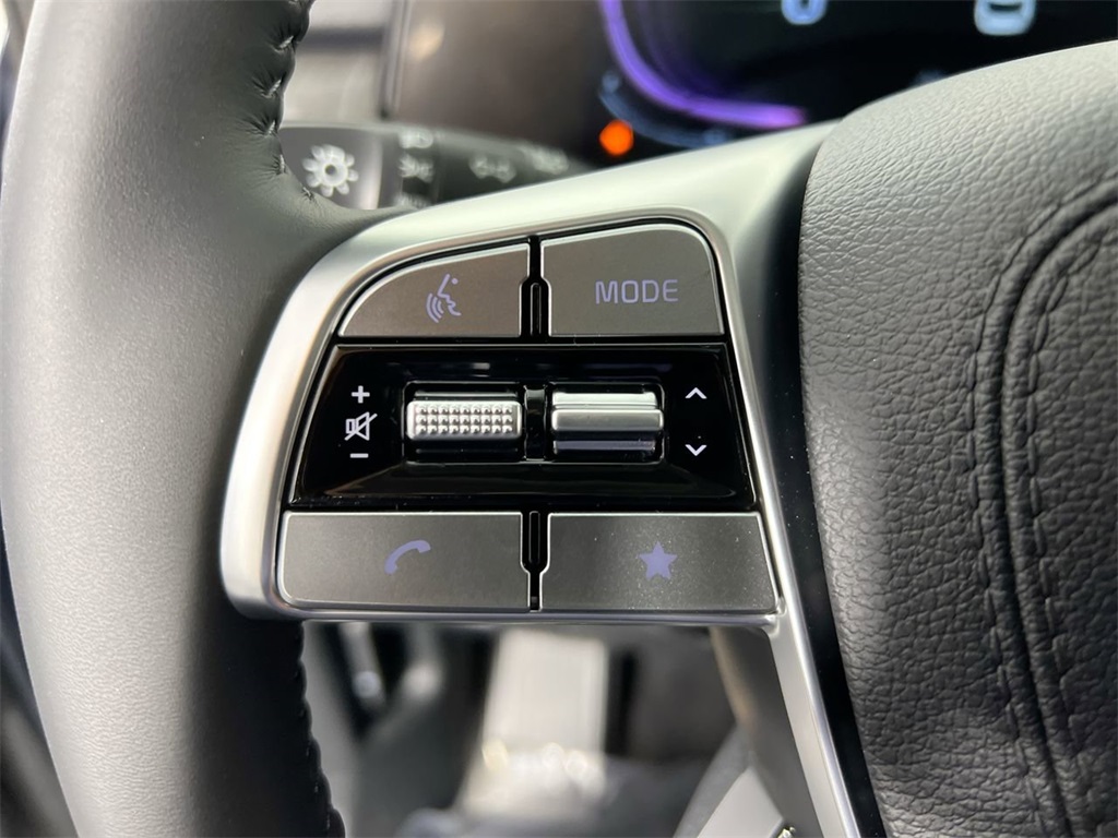 2025 Kia Telluride EX photo 15