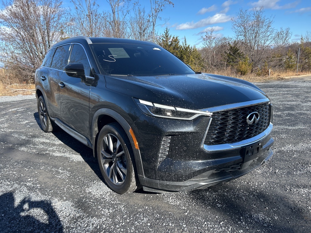 2022 INFINITI QX60 LUXE's photo
