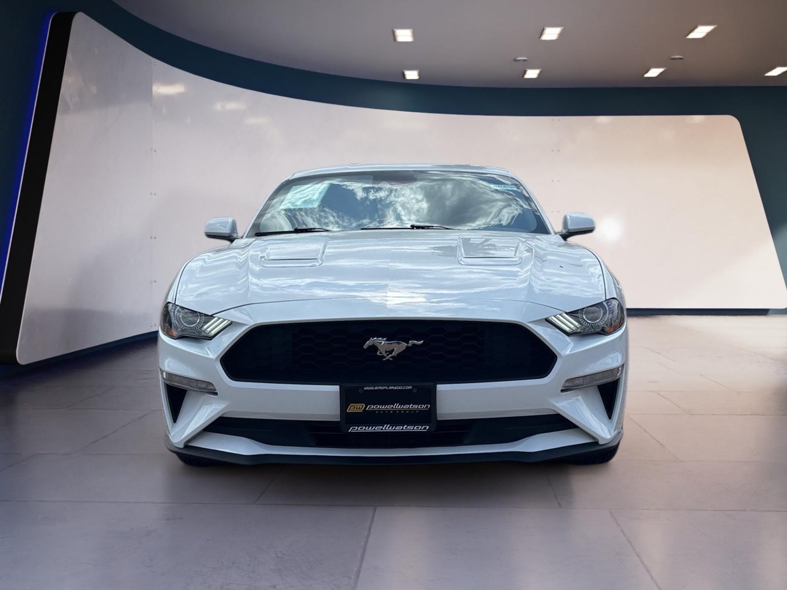 2023 Ford Mustang EcoBoost photo 8