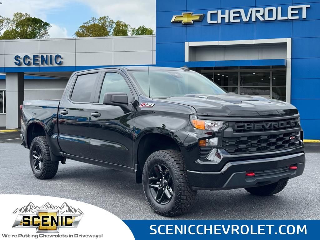 2024 Chevrolet Silverado 1500 Custom's photo