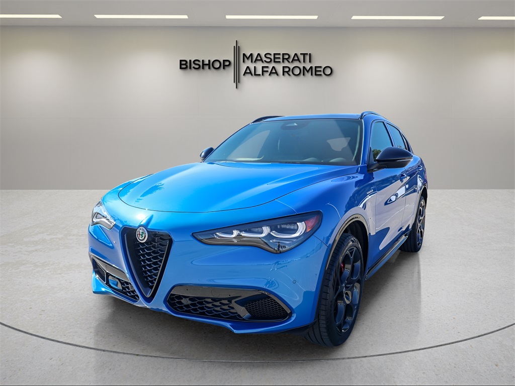 2025 Alfa Romeo Stelvio Base photo 3