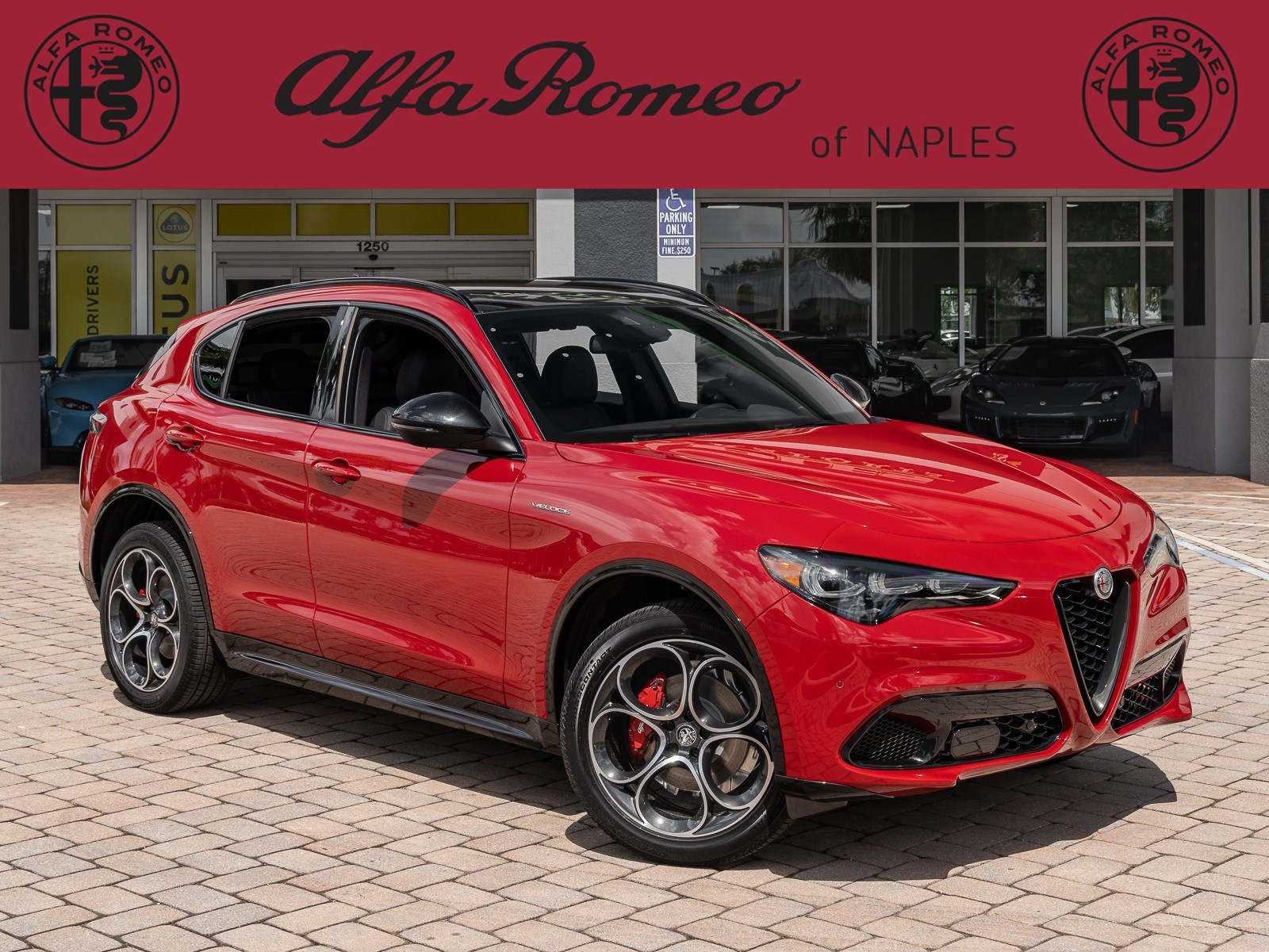 2024 Alfa Romeo Stelvio Veloce