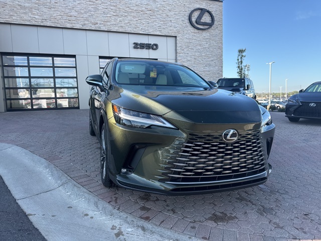2025 Lexus RX 350h Luxury photo 4
