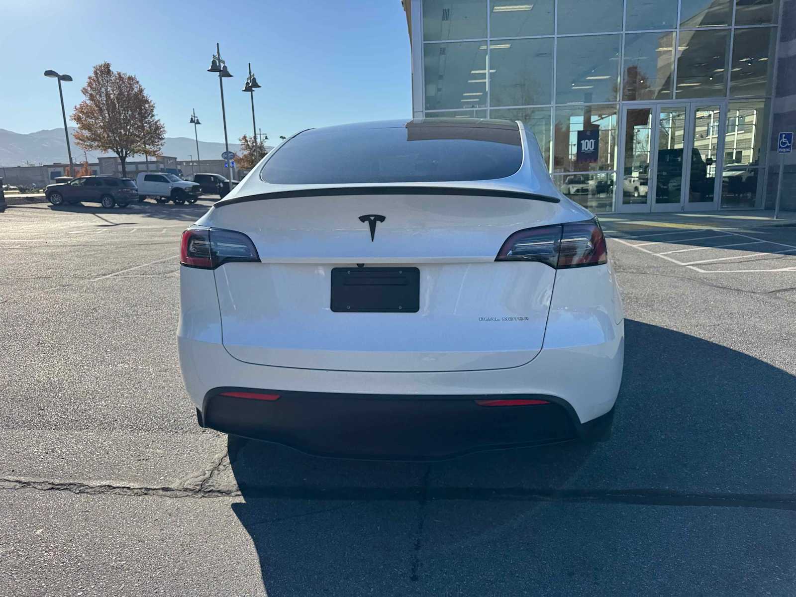 2023 Tesla Model Y photo 4