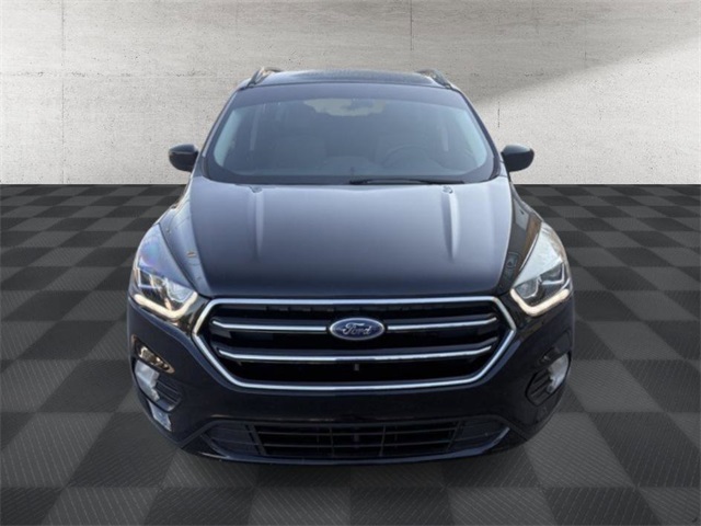 2019 Ford Escape SE photo 2