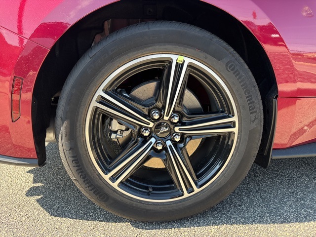 2025 Ford Mustang EcoBoost photo 9