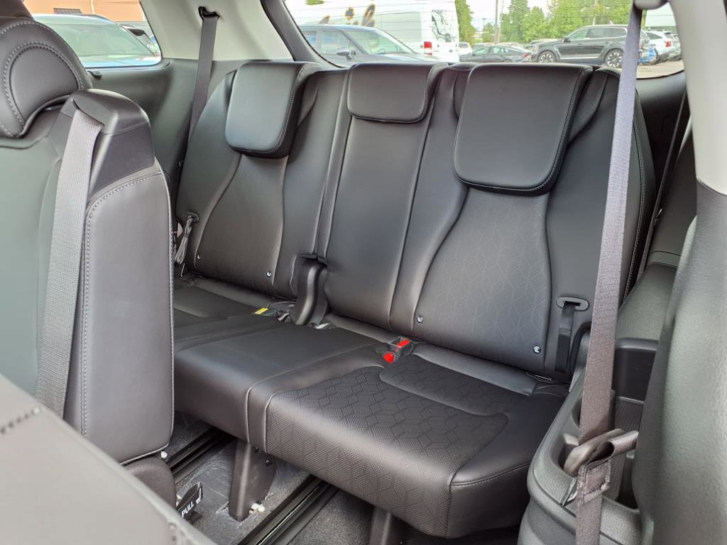 2026 Kia Carnival SX photo 8