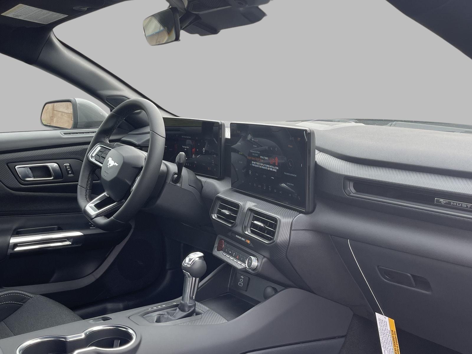 2025 Ford Mustang EcoBoost photo 12