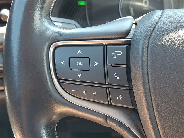 2019 Lexus UX 250h photo 18