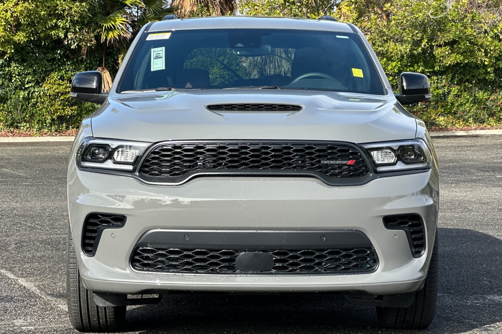 2025 Dodge Durango GT Plus photo 8