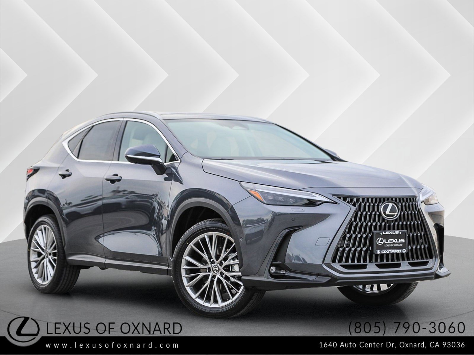 2026 Lexus NX Hybrid 350h's photo
