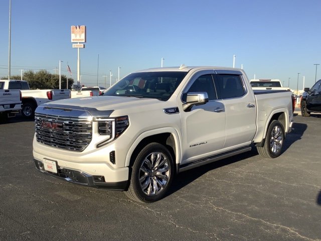 2025 Gmc Sierra 1500 Denali photo 3