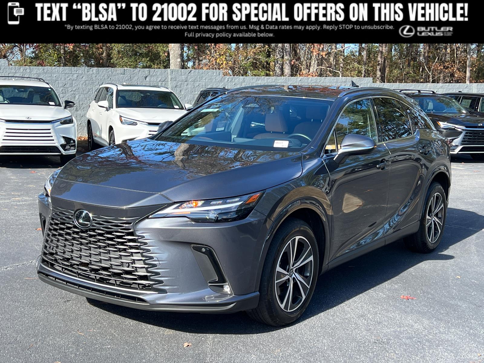 2025 Lexus RX 350's photo