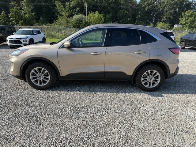 2020 Ford Escape SE photo 2