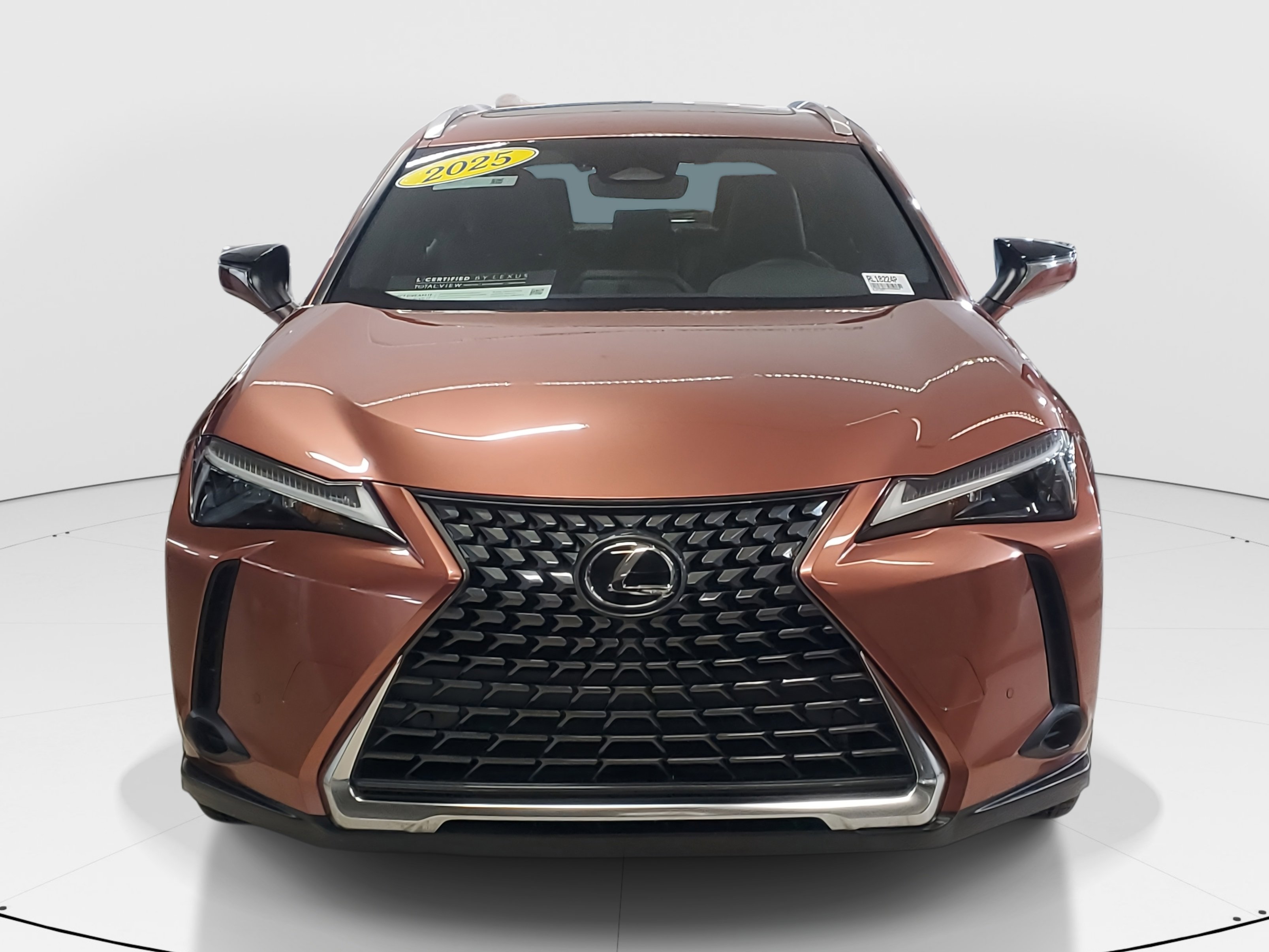 2025 Lexus UX photo 3
