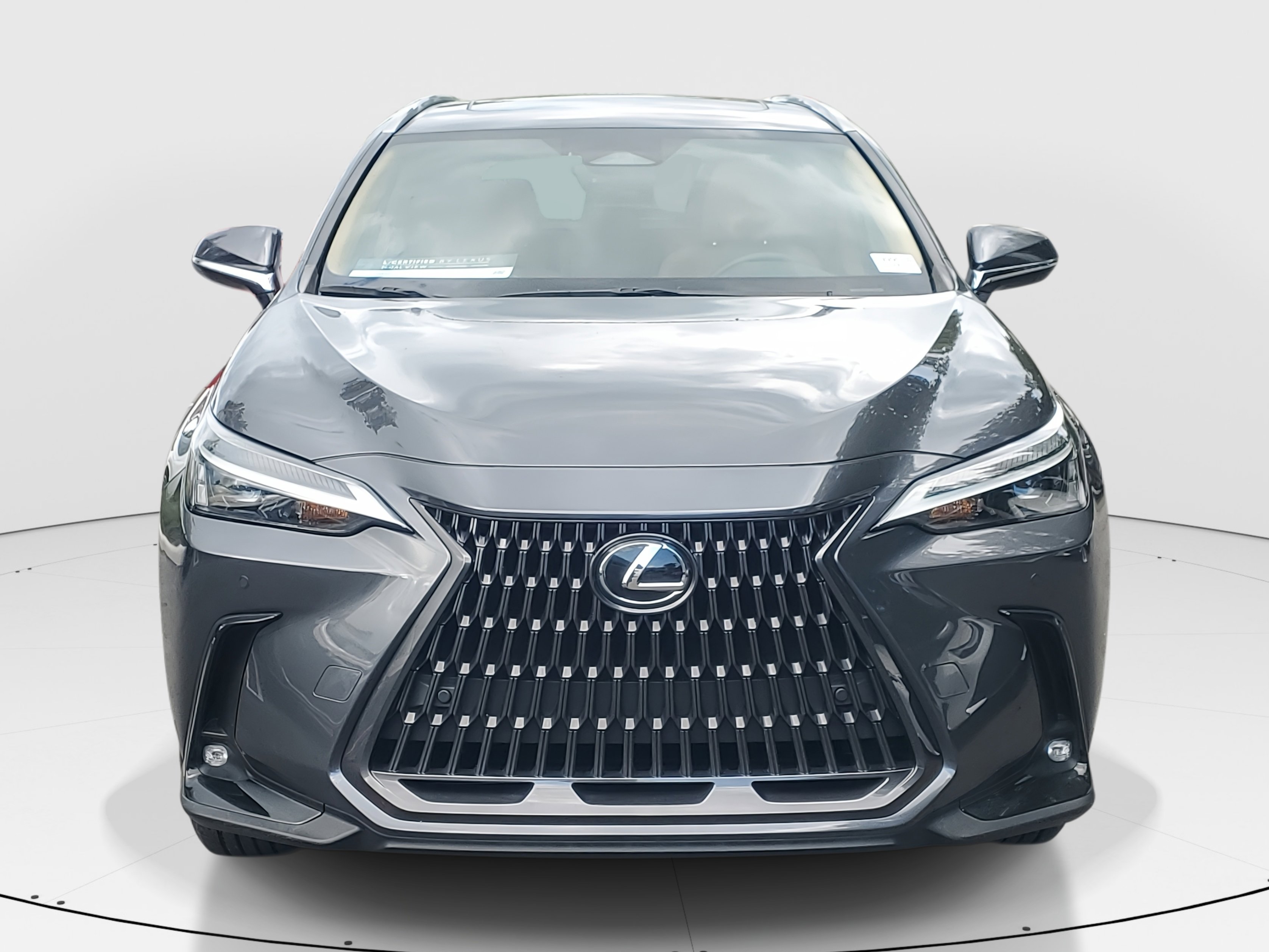 2023 Lexus NX 250 Premium photo 2