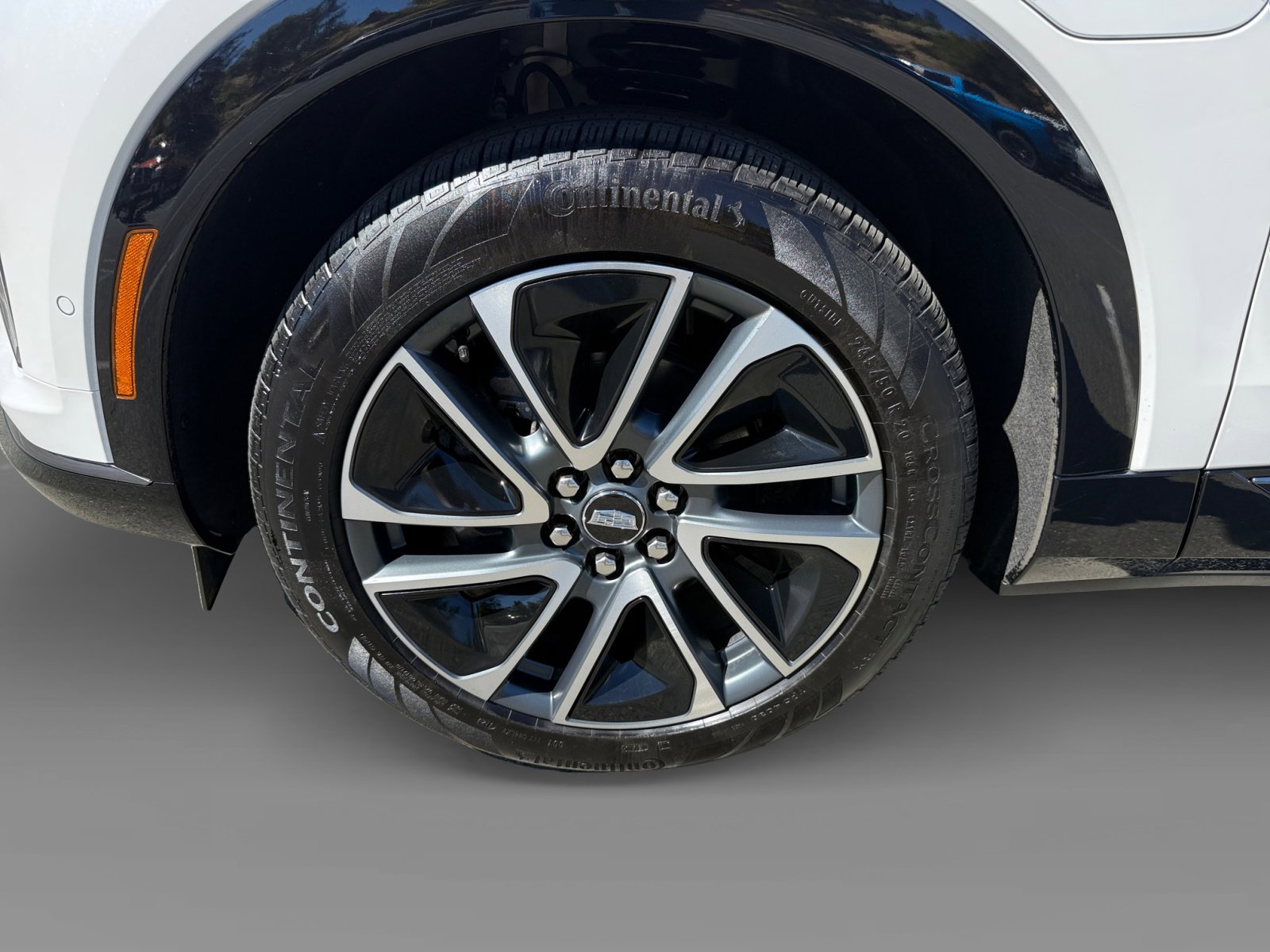 2025 Cadillac Optiq Sport photo 9