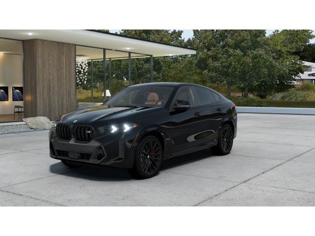 2026 BMW X6