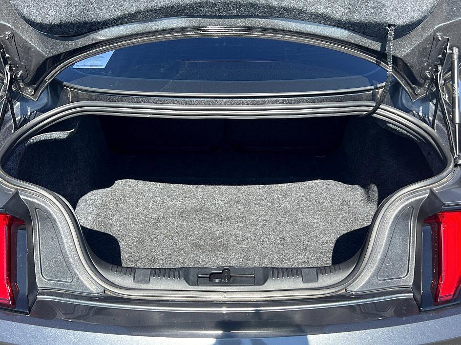 2019 Ford Mustang EcoBoost Premium photo 25