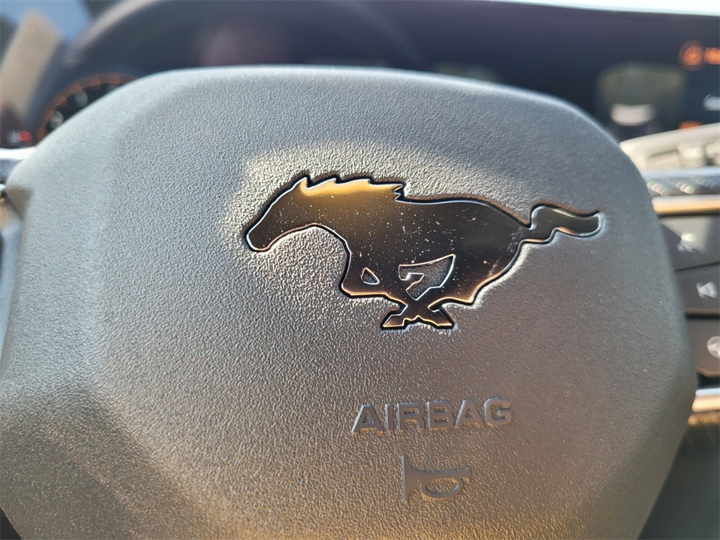 2025 Ford Mustang EcoBoost Premium photo 21