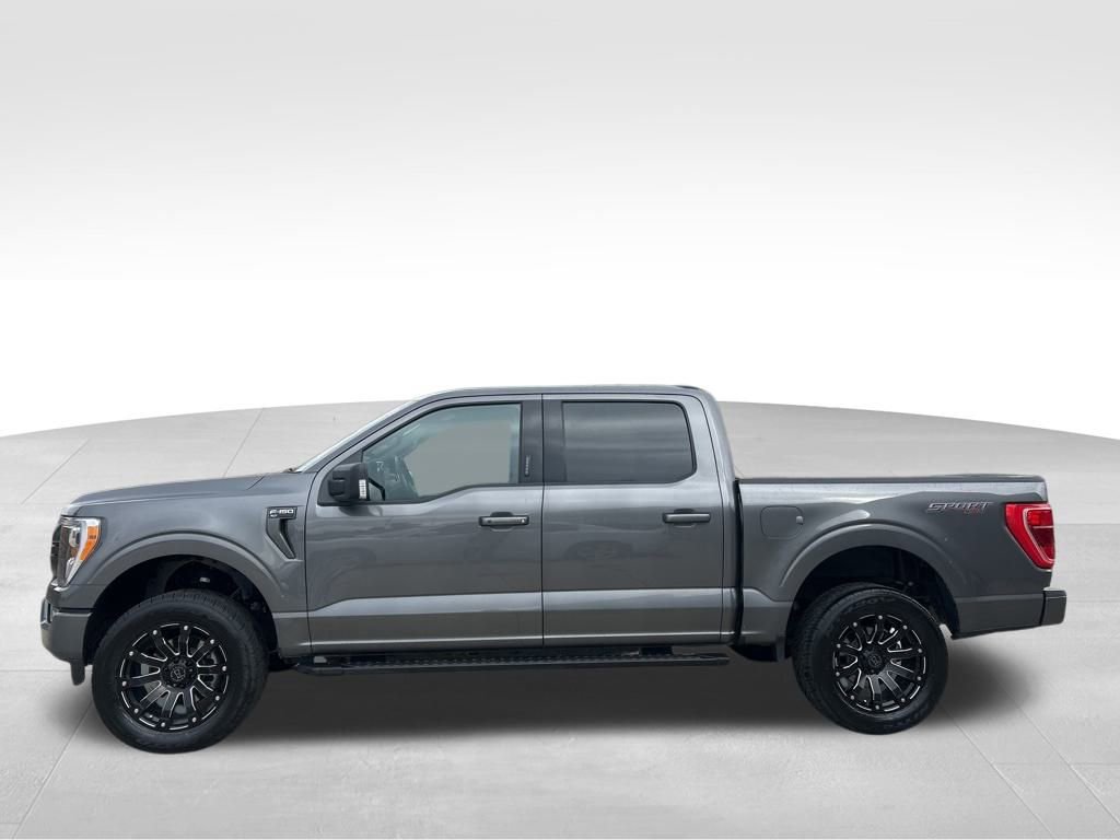 2023 Ford F-150 XLT photo 4