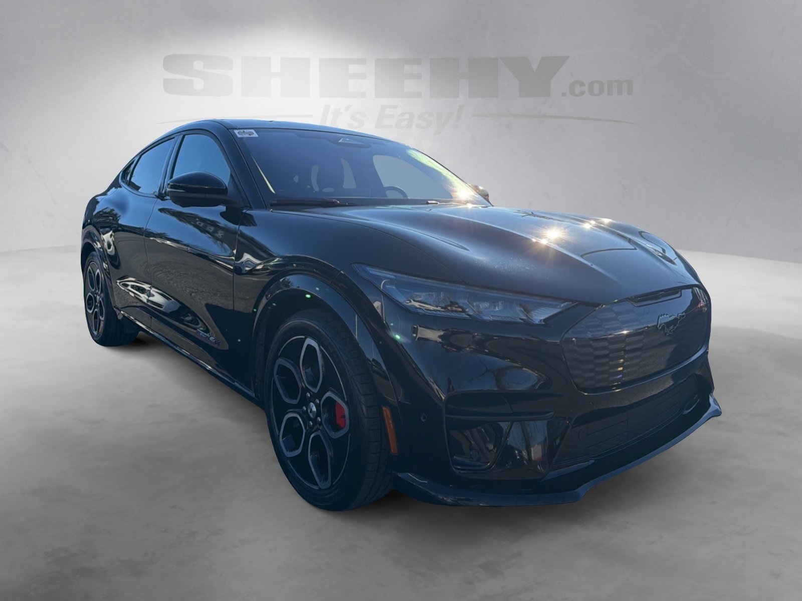 2021 Ford Mustang Mach-E GT photo 2