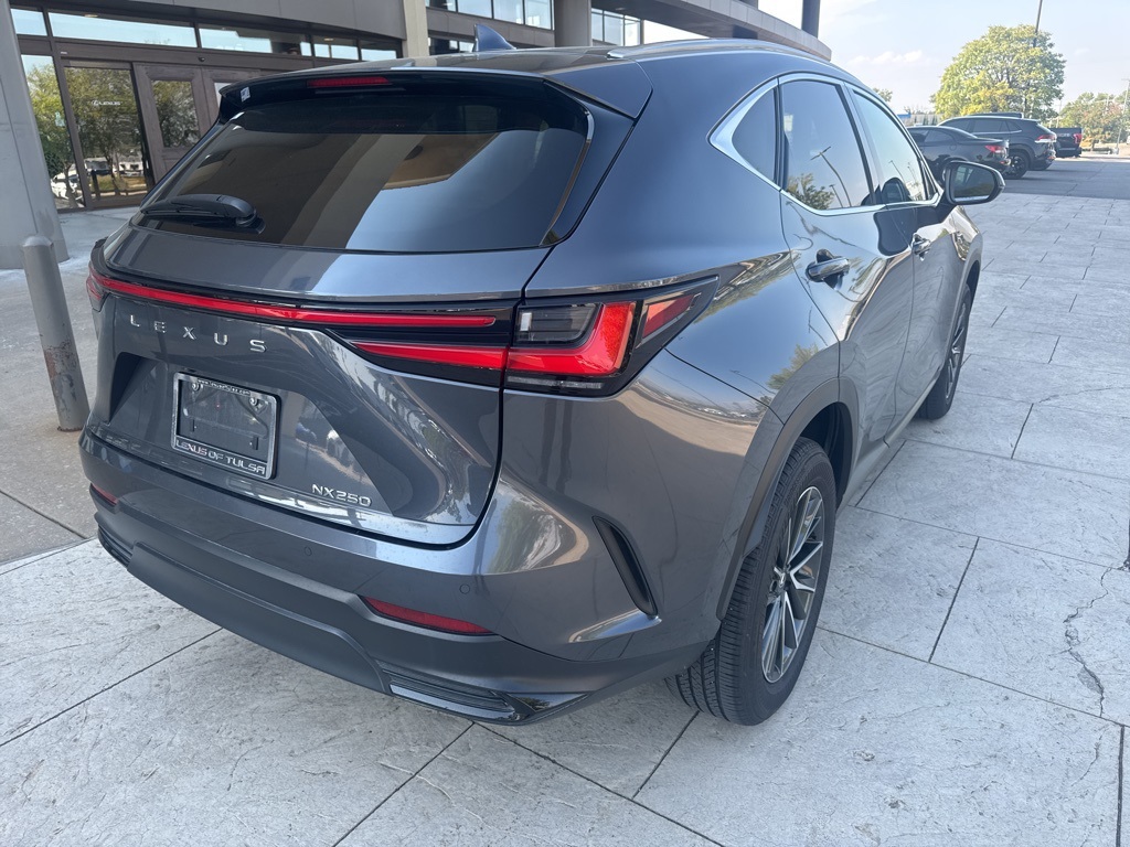 2025 Lexus NX 250 Premium photo 3