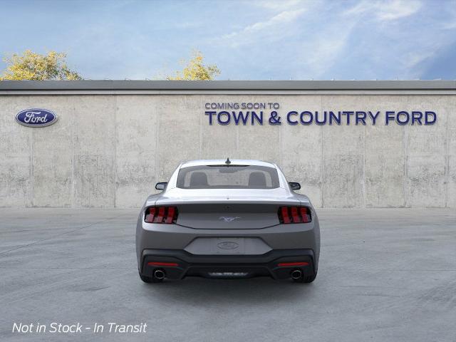 2025 Ford Mustang EcoBoost photo 15