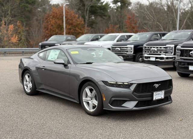 2026 Ford Mustang EcoBoost's photo